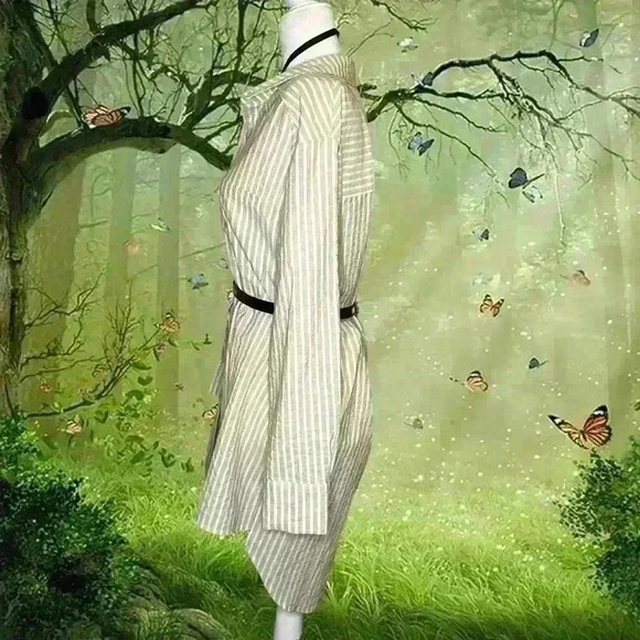 Anthropologie Beige Striped Shirt Dress - Picture 3 of 9